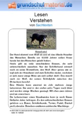 Haushund - Sachtext.pdf